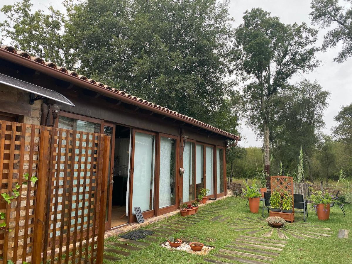 The Old Watermill Retreat - O Retiro Da Azenha Velha Lejlighed Vila Nova de Poiares Eksteriør billede