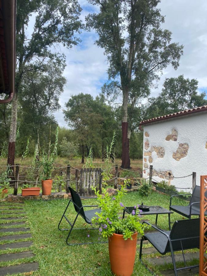 The Old Watermill Retreat - O Retiro Da Azenha Velha Lejlighed Vila Nova de Poiares Eksteriør billede
